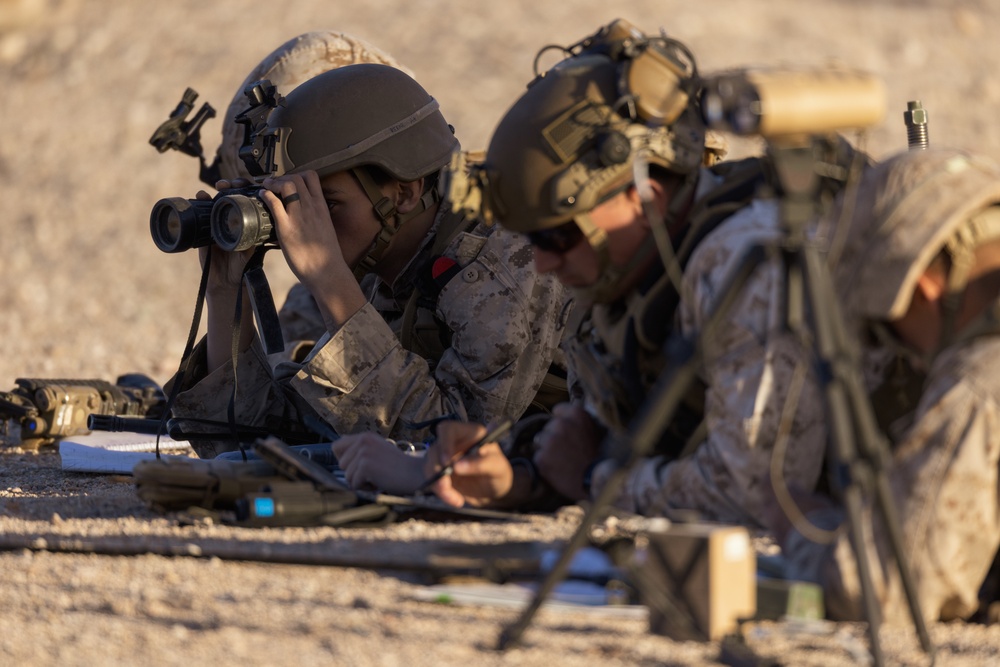 Marines call for close air support, indirect fire during Steel Knight 23