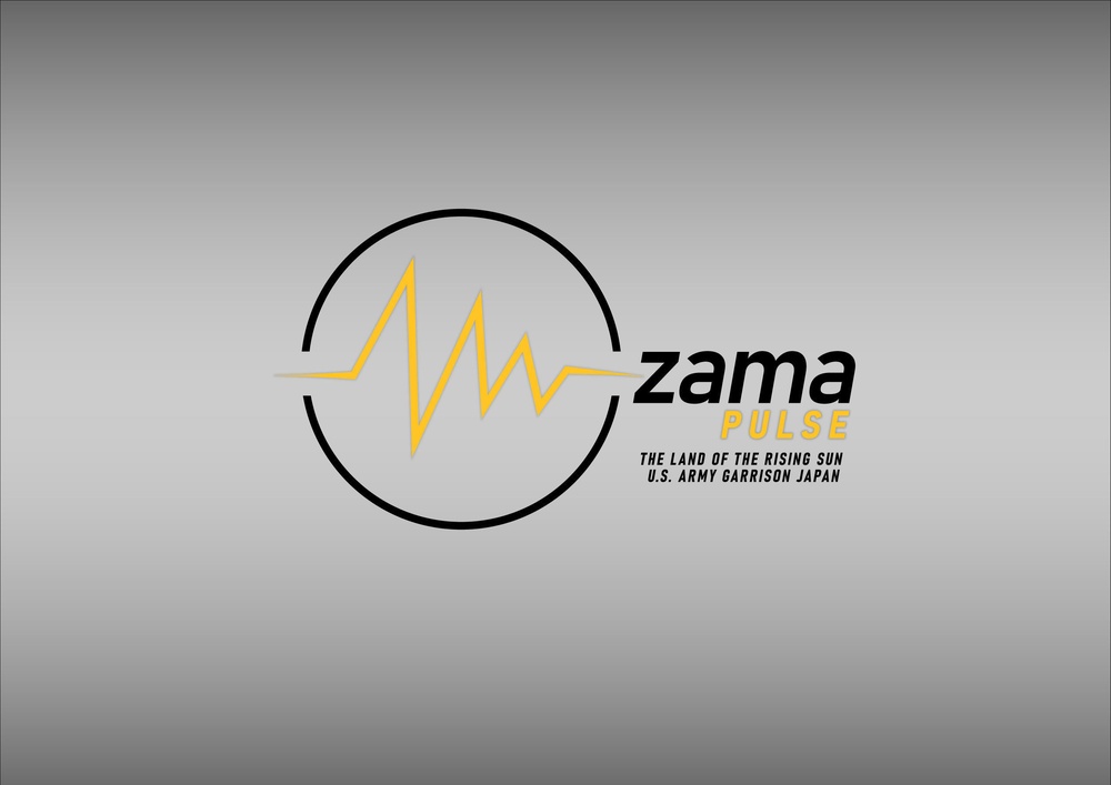 Identity design – Zama Pulse monthly news video logo
