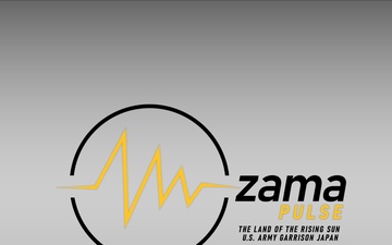 Identity design – Zama Pulse monthly news video logo