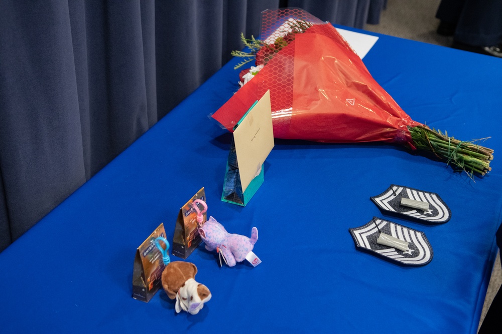 Senior Master Sgt. Sherri Clark promotes during December UTA