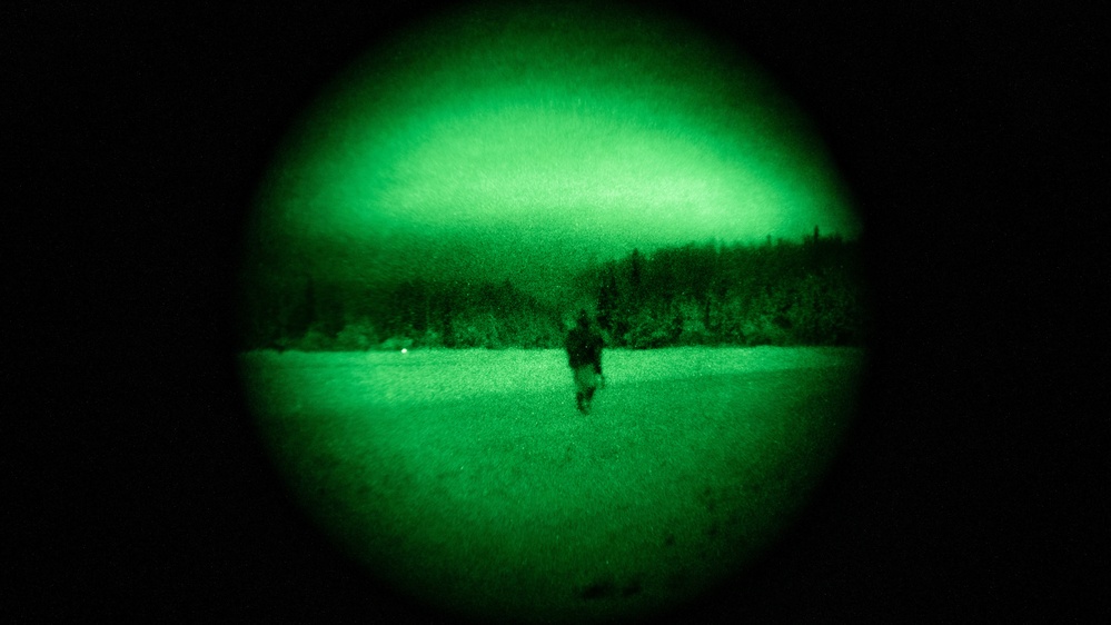 Nightvision on an Alaskan Night