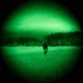 Nightvision on an Alaskan Night