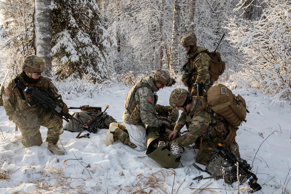 Arctic 9-Line during air assault training