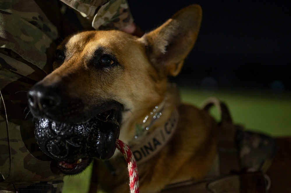 SSgt. Shanna McCarter and MWD Dina