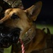 SSgt. Shanna McCarter and MWD Dina