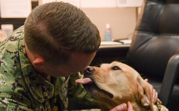 Navy Housing New Universal Leases Allow PPV Partners to Require Pet Deposits