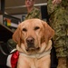 Therapy Dog Visits SURFLANT Personnel