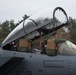 F-15 Strike Eagle Arrivals