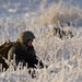 Alaska Army Guard Aviation unit supports UAA ROTC field training exercise