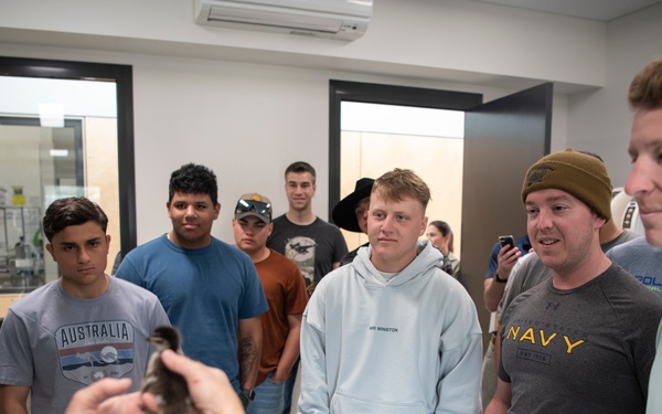 Sailors from the USS Mississippi (SSN 782) Volunteer in Australia