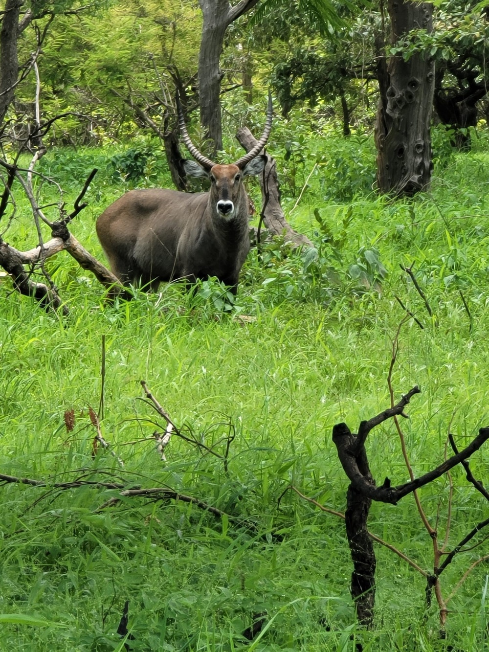 MSGs visit wildlife reserve in Senegal