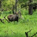MSGs visit wildlife reserve in Senegal