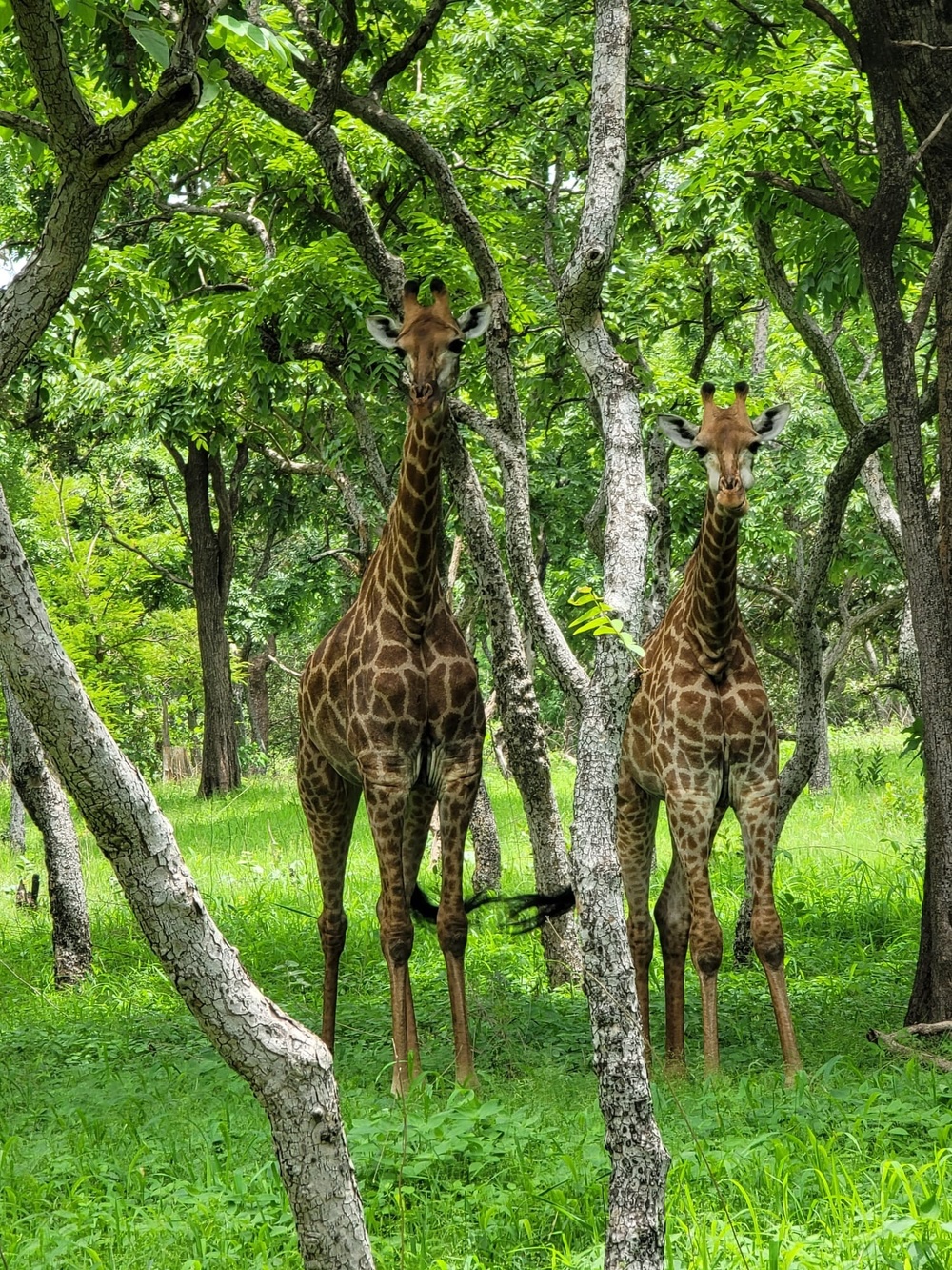 MSGs visit wildlife reserve in Senegal