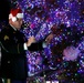 Christmas Carols and Holiday Cheer at the Governor's Christmas Tree Lighting