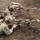 Green Berets compete for Menton 2022 Best Sniper title