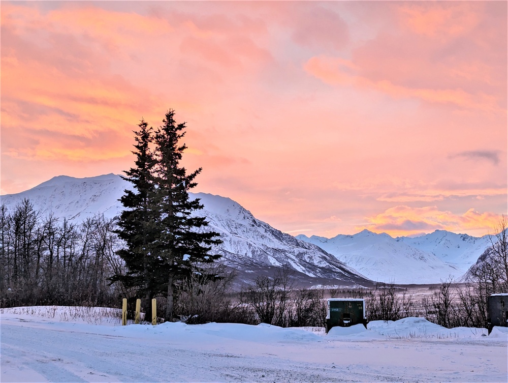 German Army delegation visit enhances partnerships with Army in Alaska