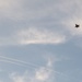 Falcon Strike 2022