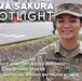 Yama Sakura Spotlight