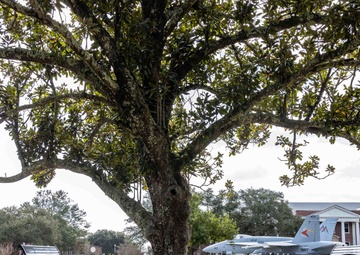 Naval Air Station Pensacola Remembrance Day