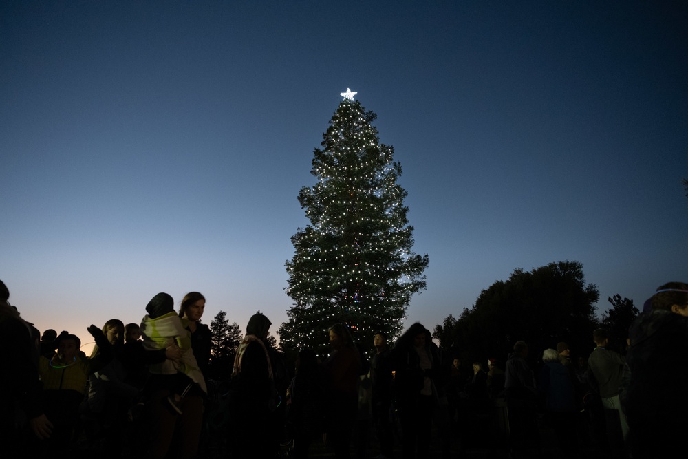 Christmas tree lighting ceremony
