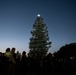Christmas tree lighting ceremony