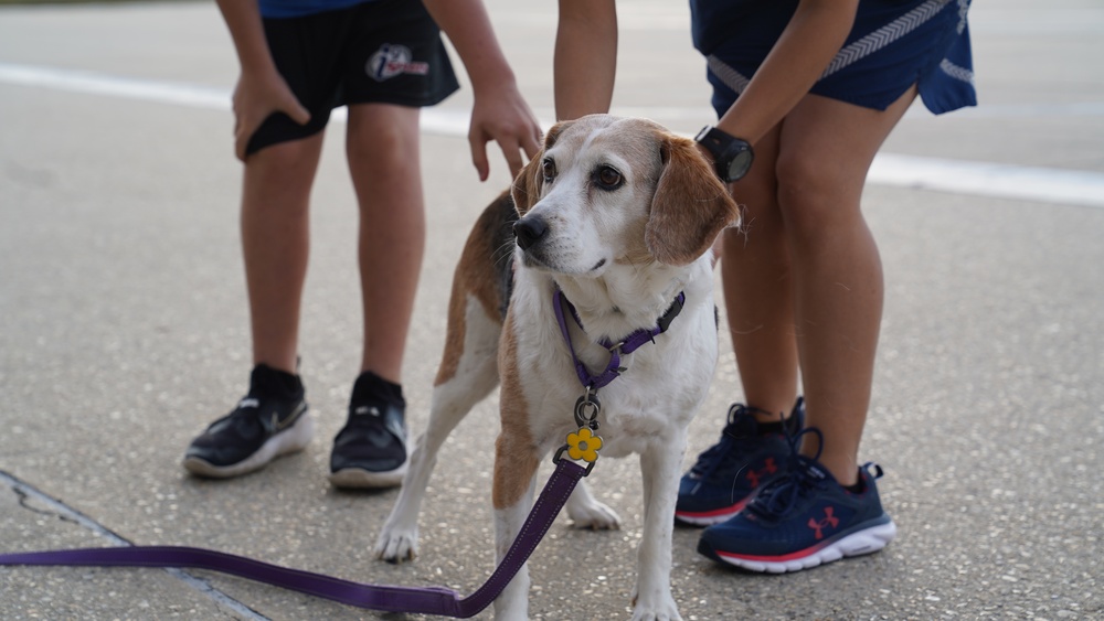 81st TRG Drumstick Dash