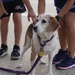 81st TRG Drumstick Dash
