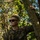 3rd Landing Support Battalion Marines conduct field skills training during exercise Winter Workhorse 3rd Landing Support Battalion Marines conduct field skills training during exercise Winter Workhorse