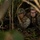 3rd Landing Support Battalion Marines conduct field skills training during exercise Winter Workhorse 3rd Landing Support Battalion Marines conduct field skills training during exercise Winter Workhorse