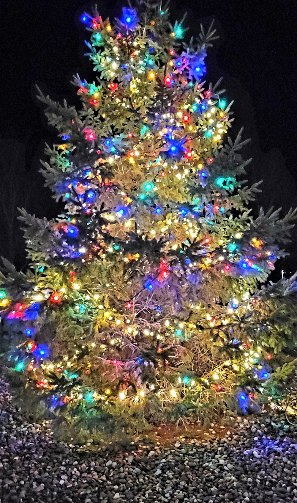 Dozens attend Fort McCoy’s 2022 Christmas Tree Lighting event