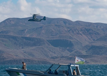 CJTF-HOA paricipates in exercise Bull Shark with foreign partner