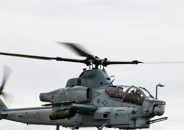 Steel Knight 23: HMLA-369 Flight