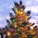 Dozens attend Fort McCoy’s 2022 Christmas Tree Lighting event