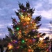 Dozens attend Fort McCoy’s 2022 Christmas Tree Lighting event