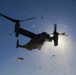 Marines, sailors conduct mass casualty drill during Steel Knight 23