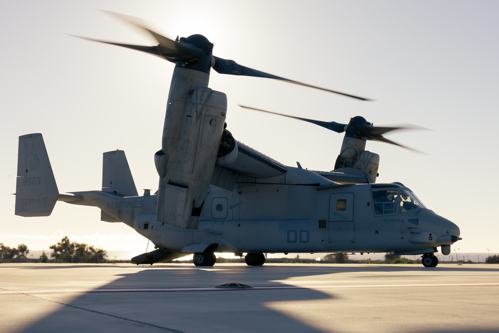 Marines, sailors conduct mass casualty drill during Steel Knight 23