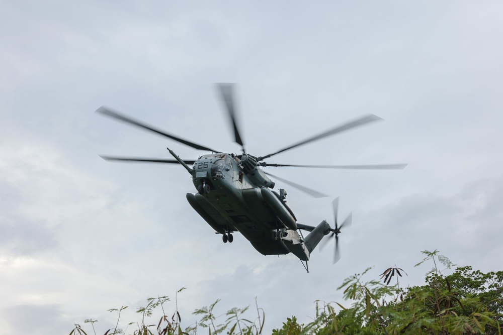 Stand-in Force Exercise: 1st Battalion, 2d Marines Air Insertion