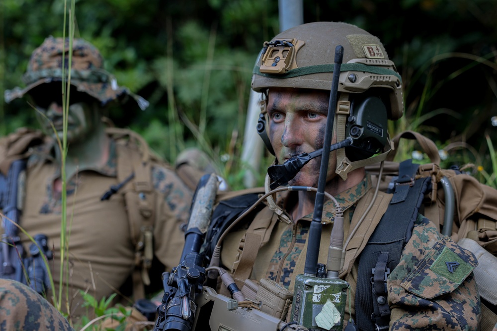 Stand-in Force Exercise: 1st Battalion, 2d Marines Air Insertion