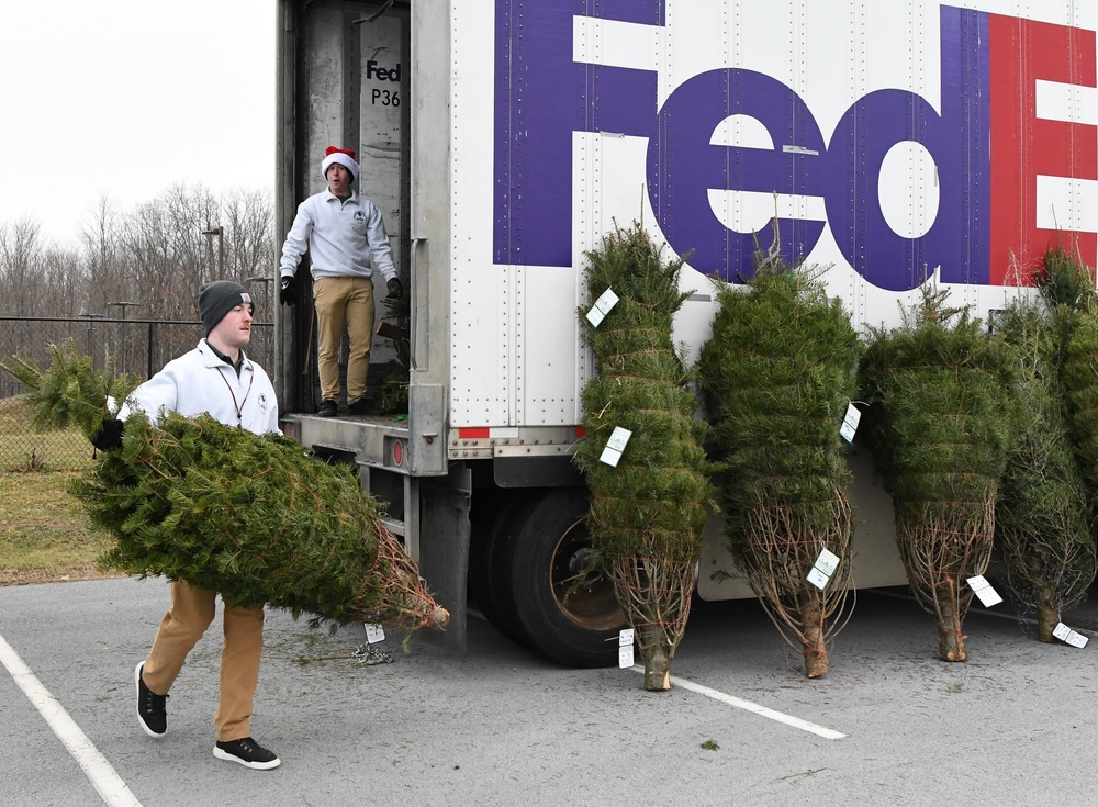 Trees for Troops giveaway brings holiday joy to Fort Drum Soldiers and families