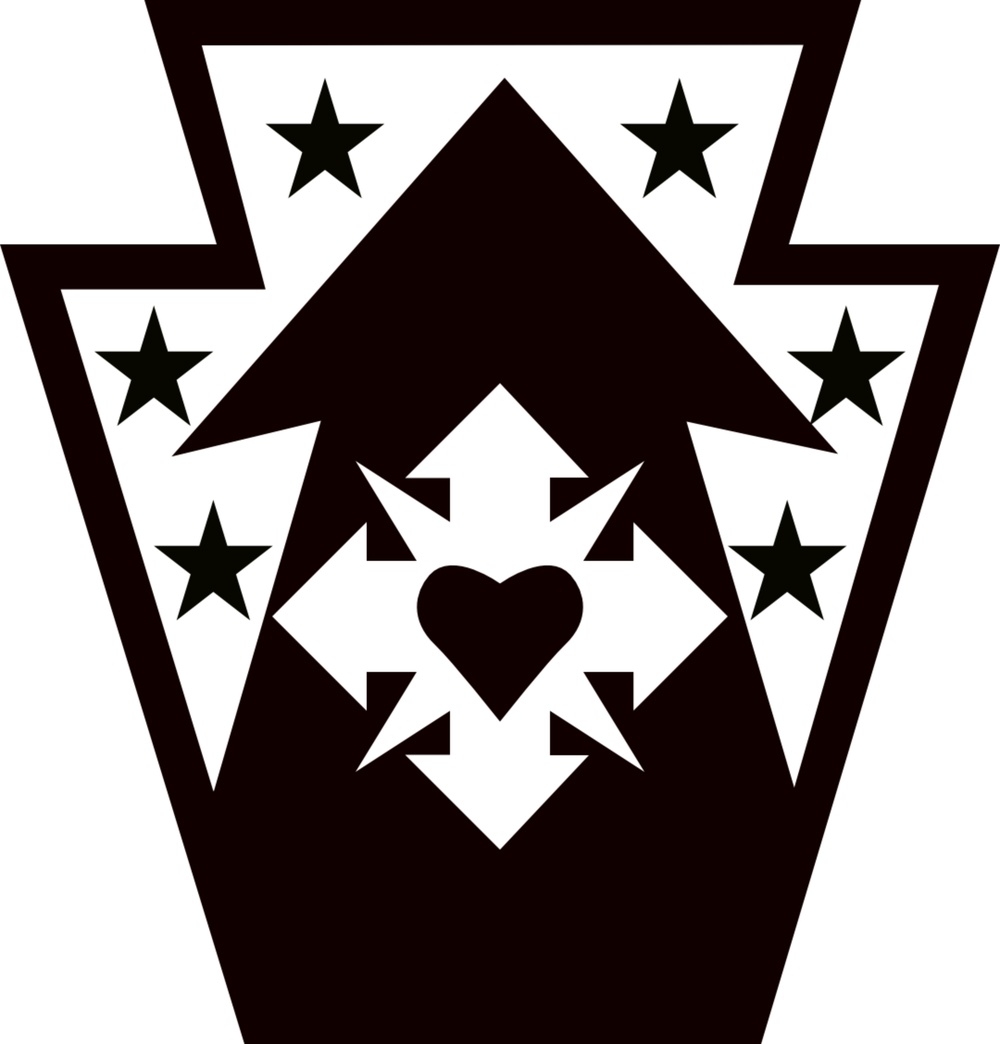 213th Regional Support Group - Insignia (Hi Resolution)