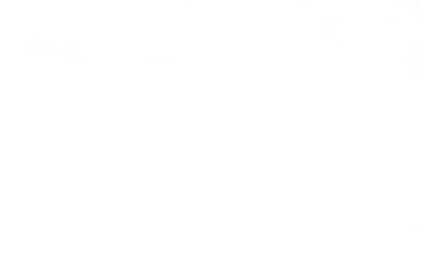 BW 22-07: A-10s at NAS Oceana