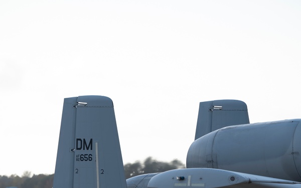 BW 22-07: A-10s at NAS Oceana