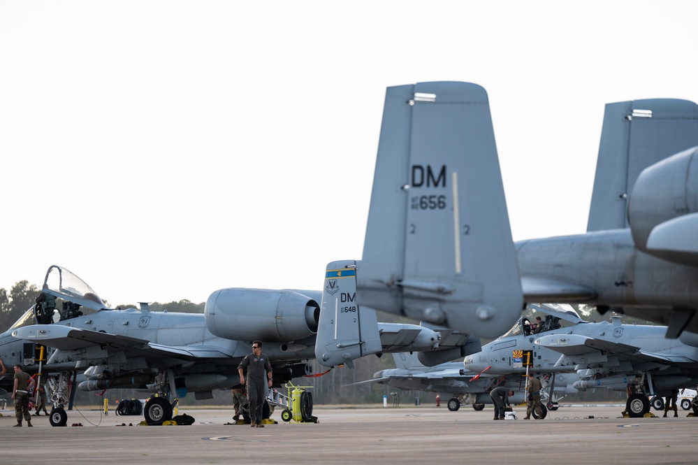 BW 22-07: A-10s at NAS Oceana