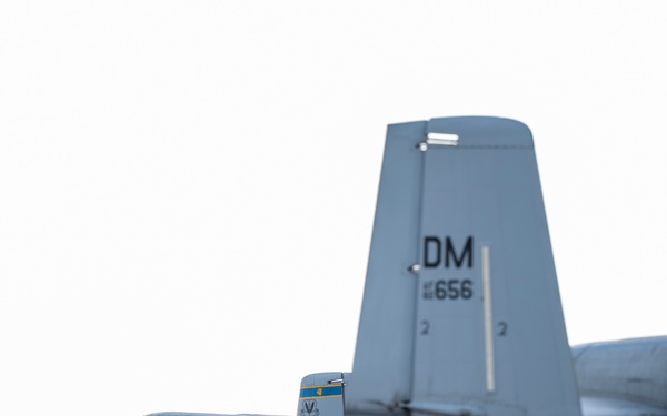 BW 22-07: A-10s at NAS Oceana