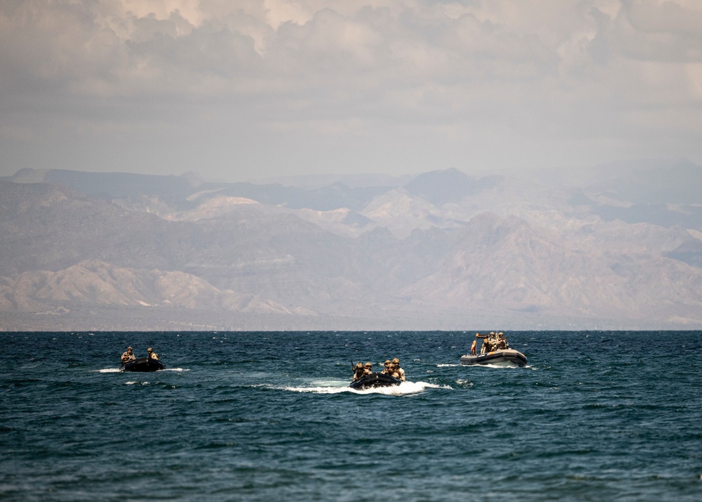Exercise Bull Shark strengthens personnel recovery interoperability alongside partners