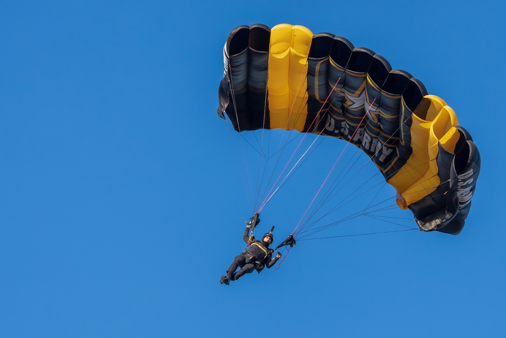 The U.S. Army Parachute Team jumps into the Army Navy game