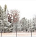 December 2022 snow scenes at Fort McCoy