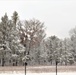 December 2022 snow scenes at Fort McCoy