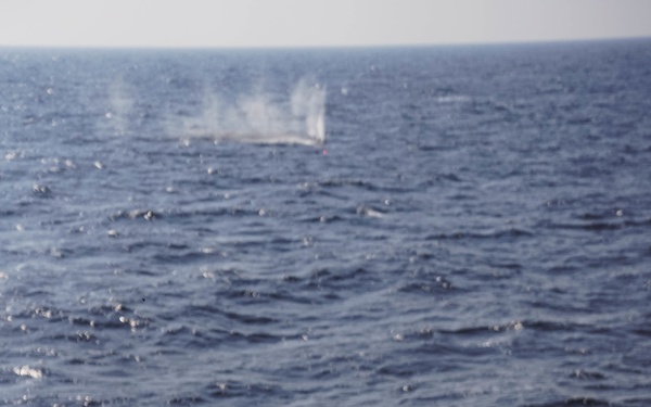 USS The Sullivans conducts weapons training