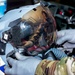 Aircrew, AFE’s got your back
